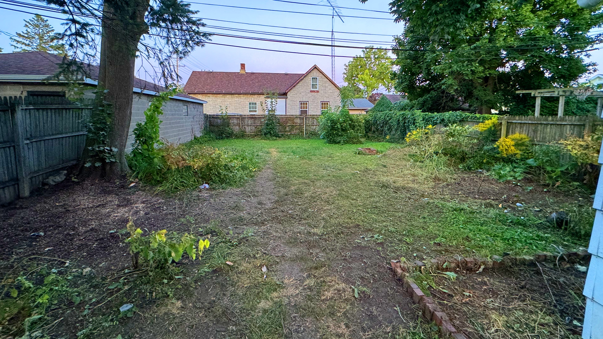 Yard after cleanup