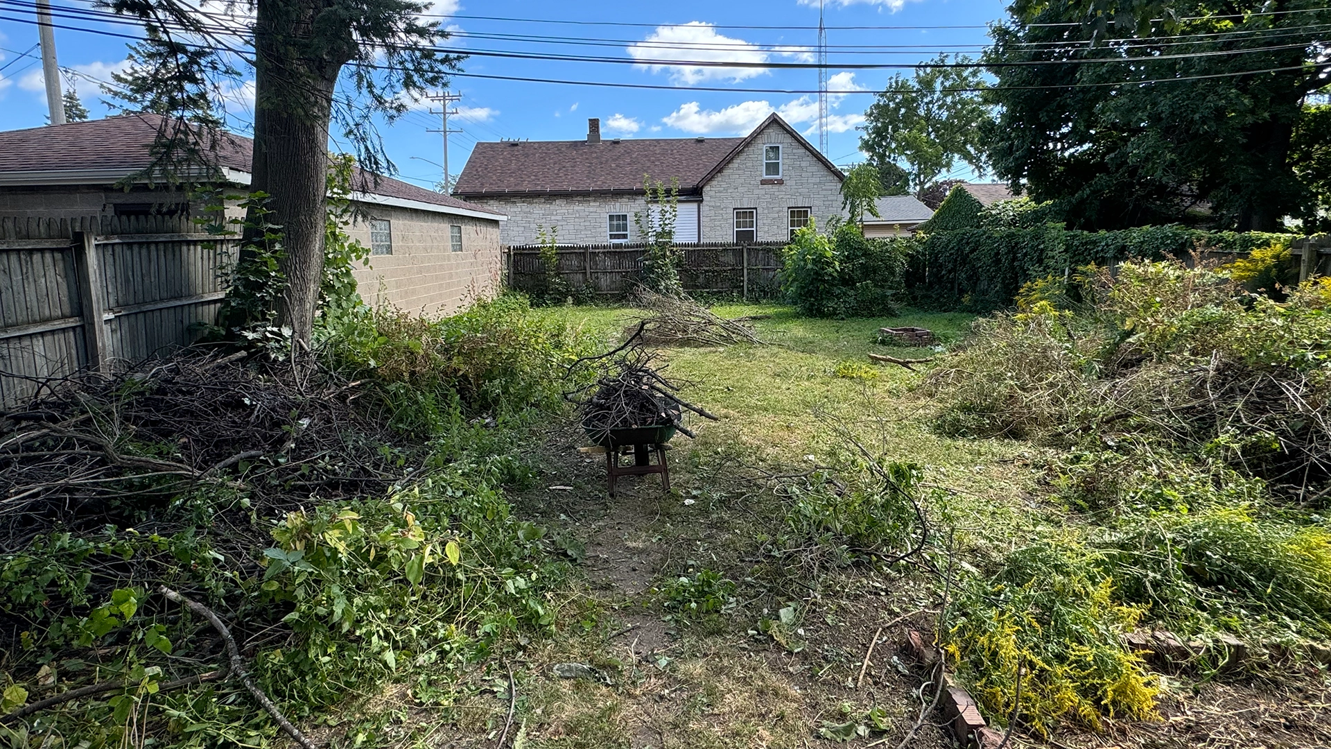 Yard before cleanup